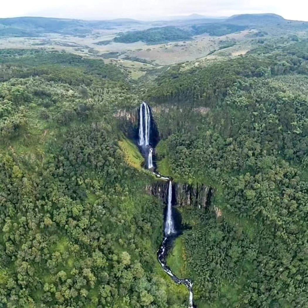 Aberdare National Park