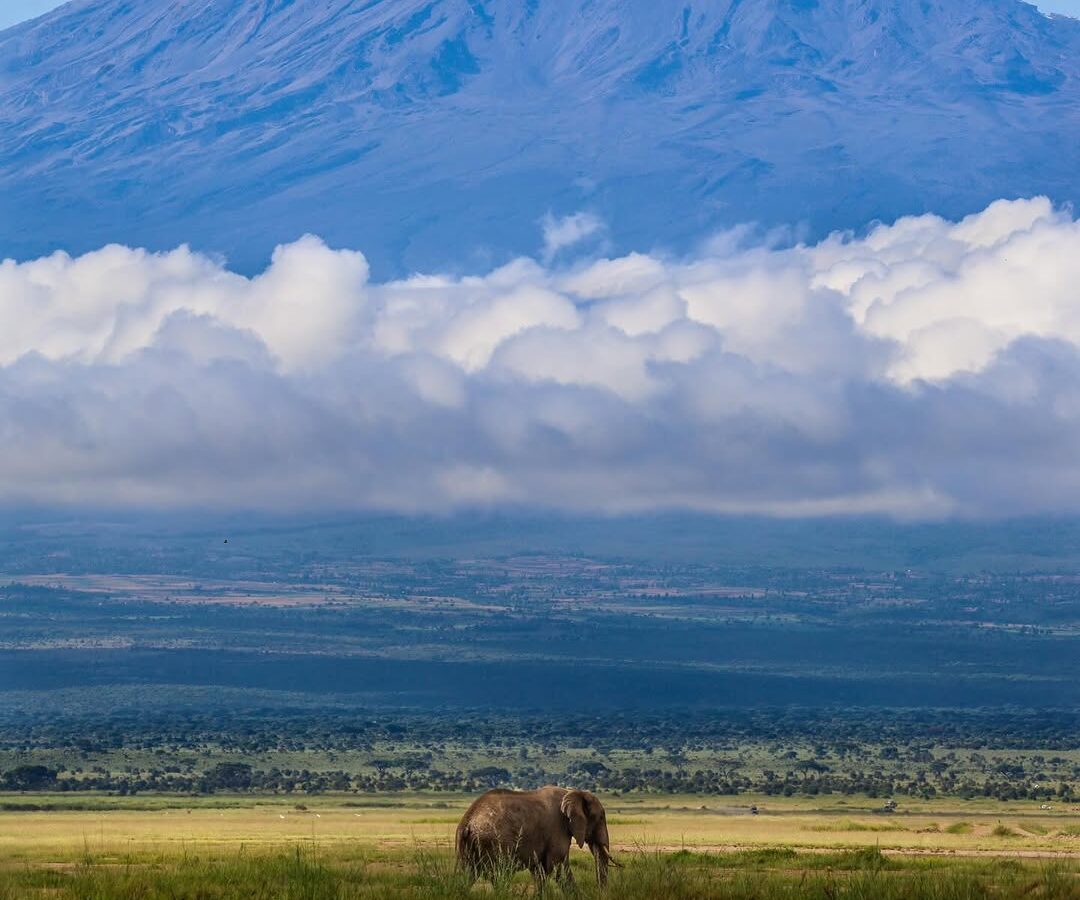 5-Day Amboseli & Tsavo Adventure