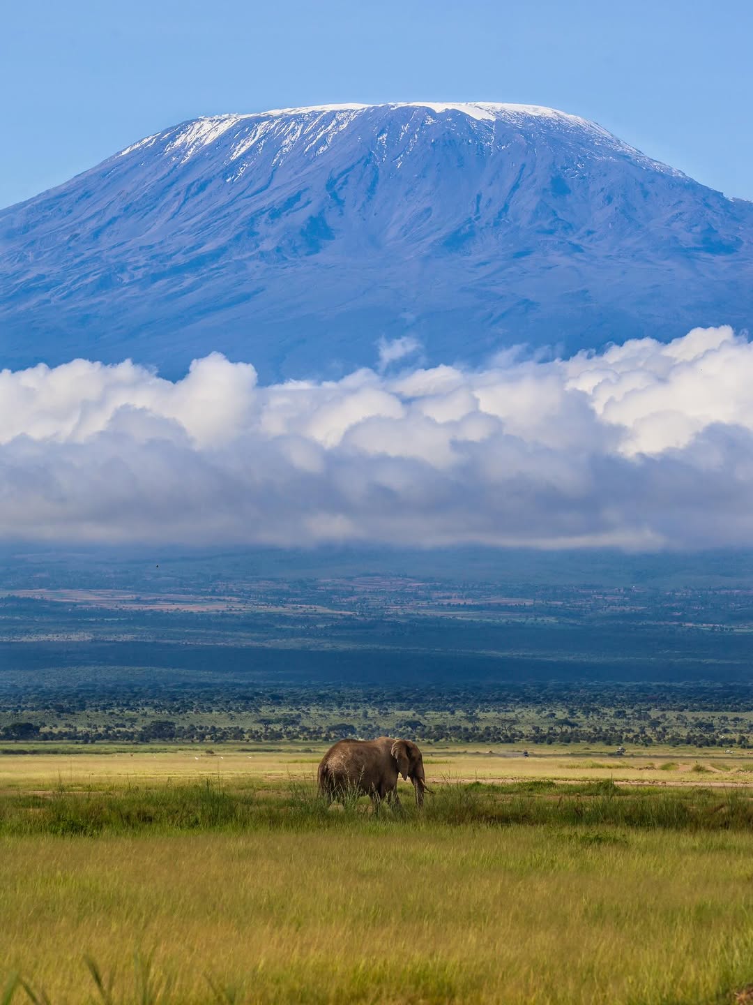 Amboseli National Park