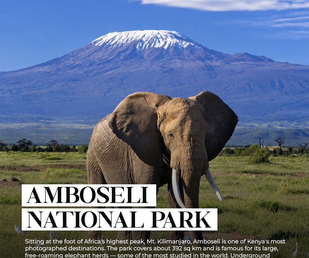 3-Day Maasai Mara Safari