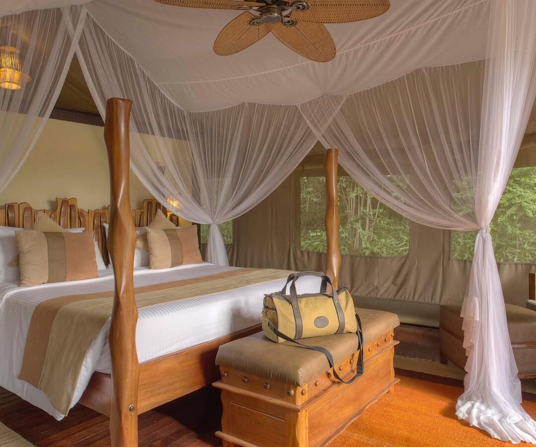 4-Day Kenya Luxury Safari: Lake Nakuru & Maasai Mara National Reserve