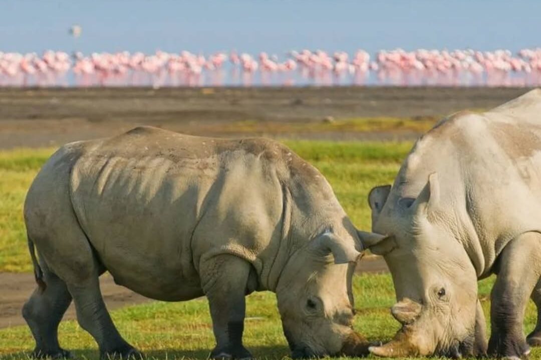 Lake Nakuru National Park