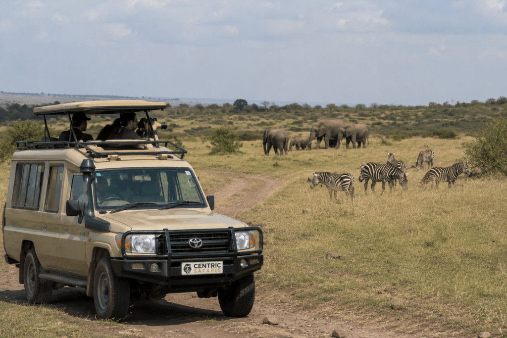 Safari 4x4 car hire with pop-up roof for Maasai Mara game drives, Kenya