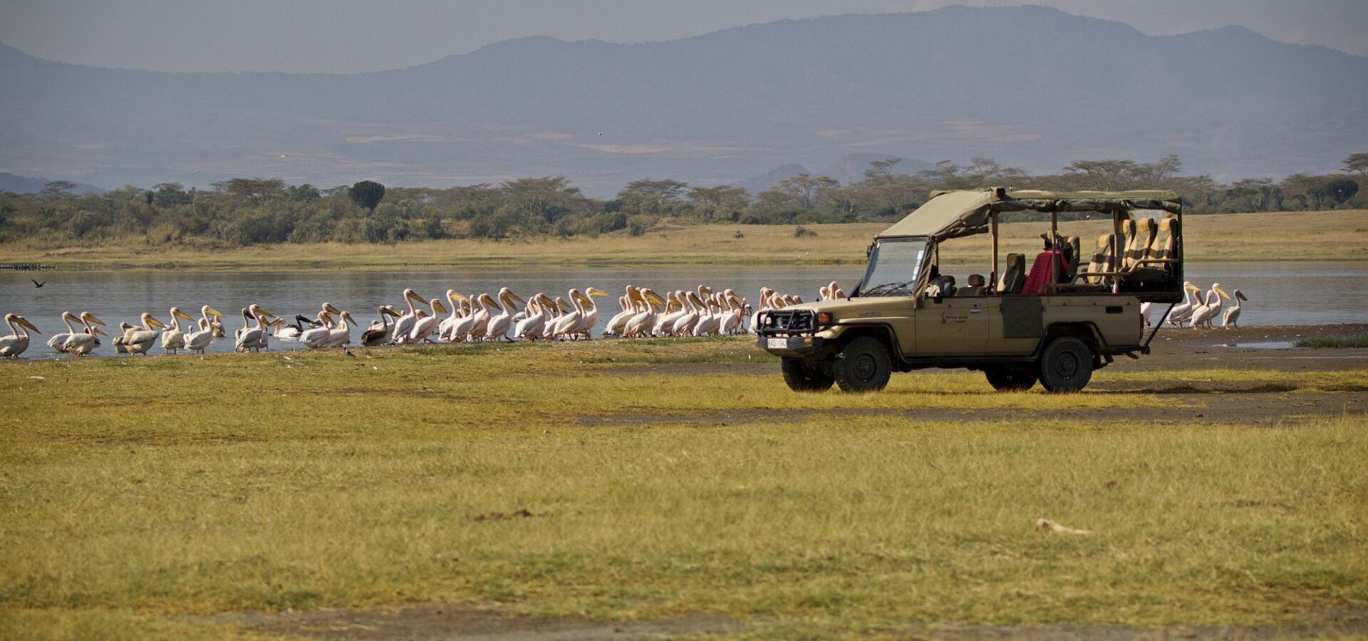 3 Days 2 Nights – Mbweha Safari Camp — Lake Nakuru – photo 13