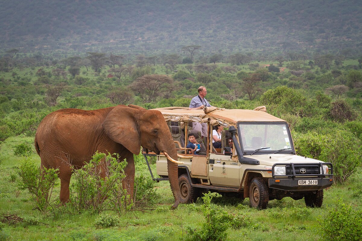Elephant Bedroom Camp Safari – 3 Days, 2 Nights in Samburu – photo 11