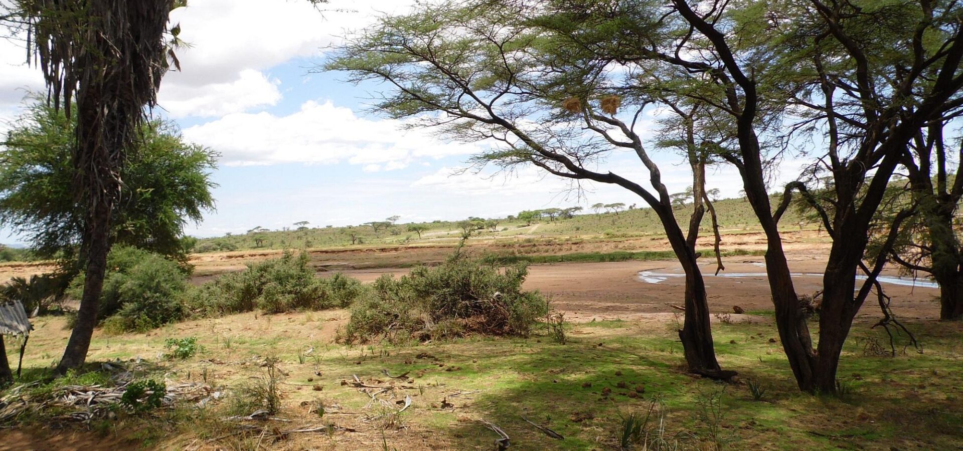 Elephant Bedroom Camp Safari – 3 Days, 2 Nights in Samburu – photo 16