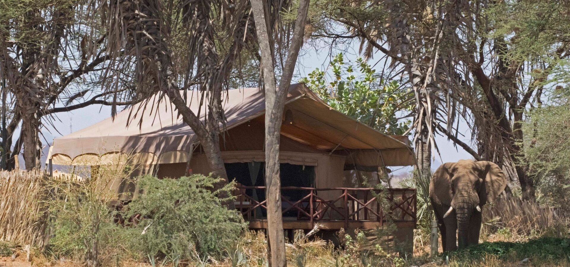 Elephant Bedroom Camp Safari – 3 Days, 2 Nights in Samburu – photo 18