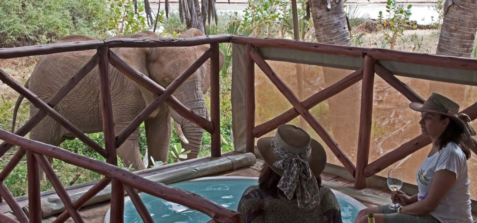 Elephant Bedroom Camp Safari – 3 Days, 2 Nights in Samburu