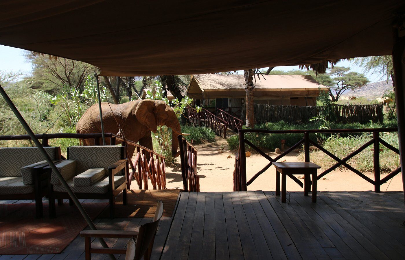Elephant Bedroom Camp Safari – 3 Days, 2 Nights in Samburu – photo 19