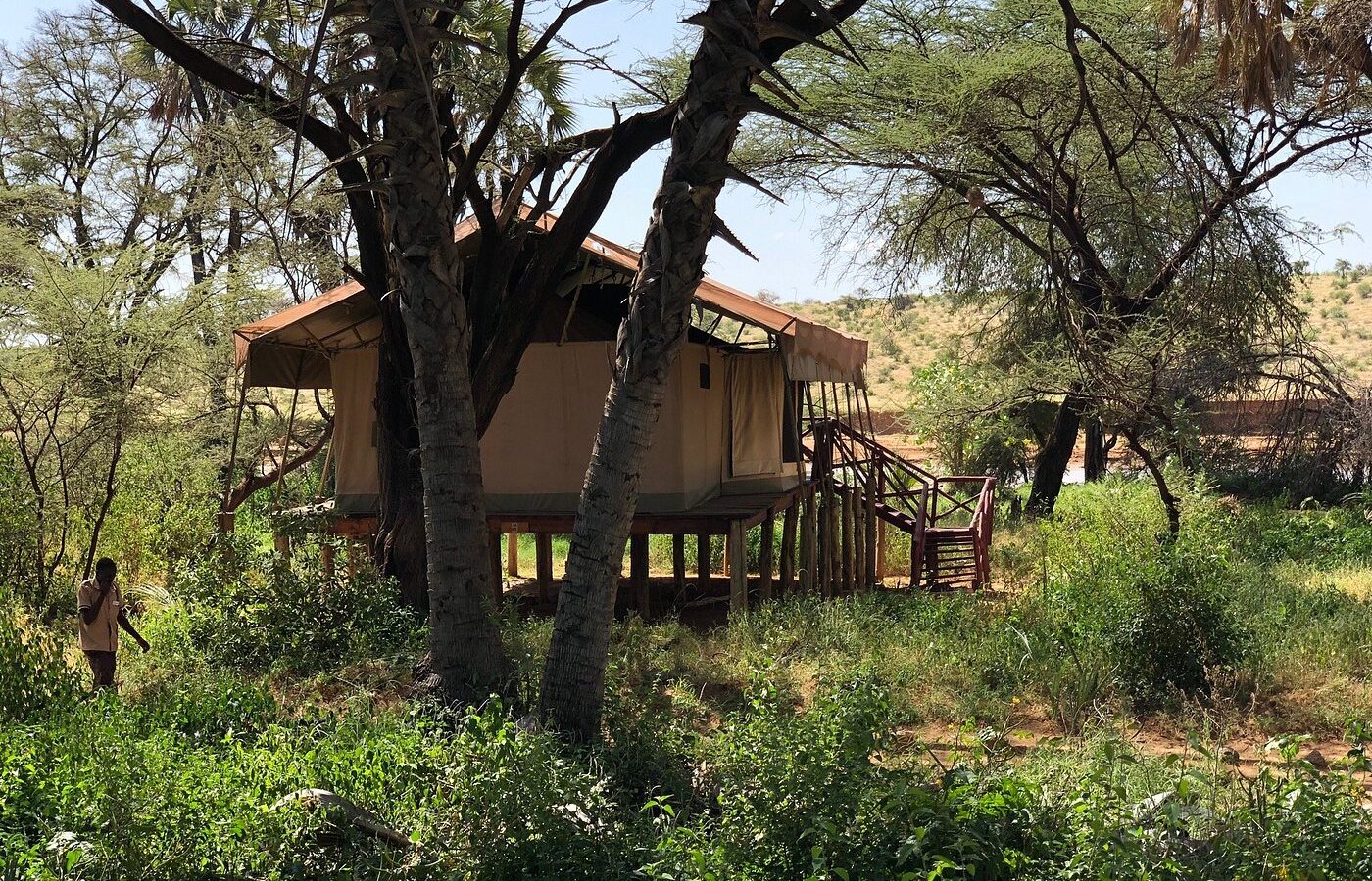 Elephant Bedroom Camp Safari – 3 Days, 2 Nights in Samburu – photo 22