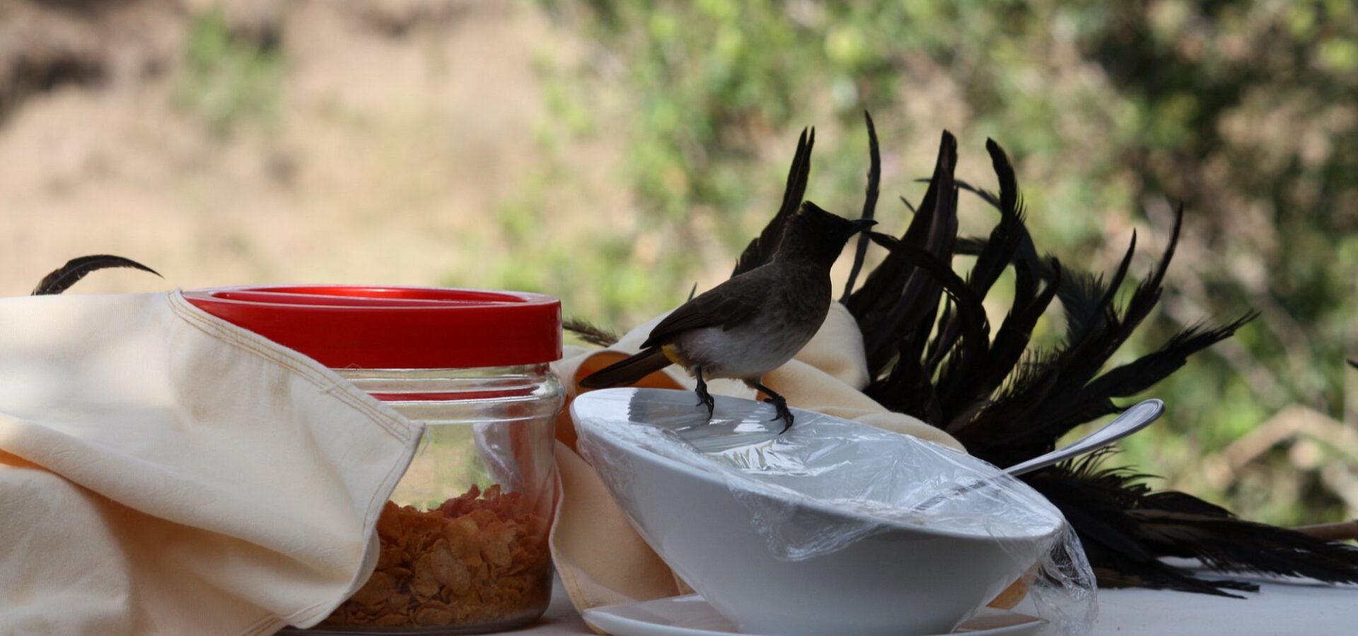 Mara Ngeche Safari Camp Safari – 3 Days, 2 Nights in the Maasai Mara – photo 6