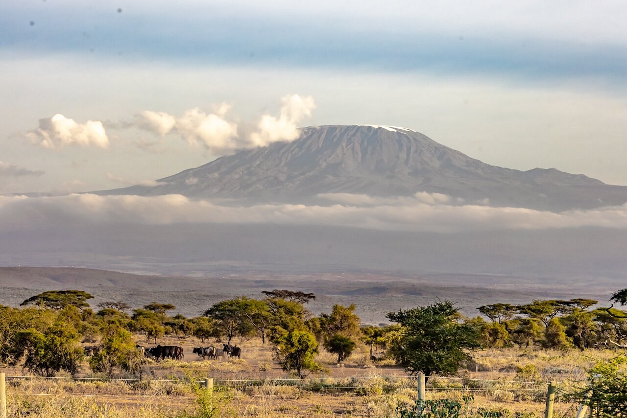 Sentrim Amboseli, photo 5