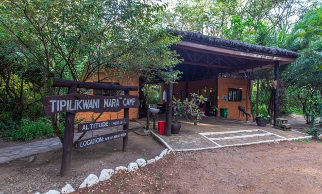 Tipilikwani Mara Camp Safari – 3 Days, 2 Nights in the Maasai Mara – photo 17