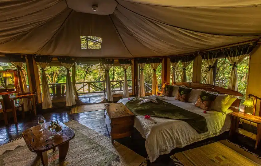 Tipilikwani Mara Camp Safari – 3 Days, 2 Nights in the Maasai Mara – photo 15
