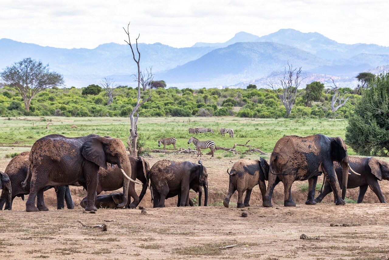 Sentrim Tsavo, photo 9