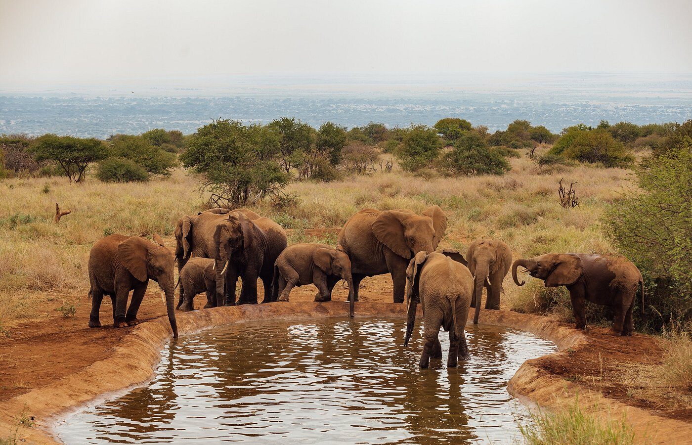 Elephant Gorge Camp Amboseli Safari – 3 Days, 2 Nights