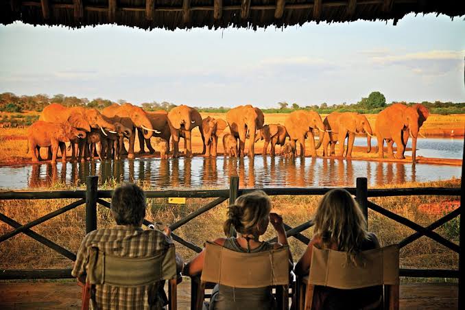 Sentrim Tsavo, photo 5