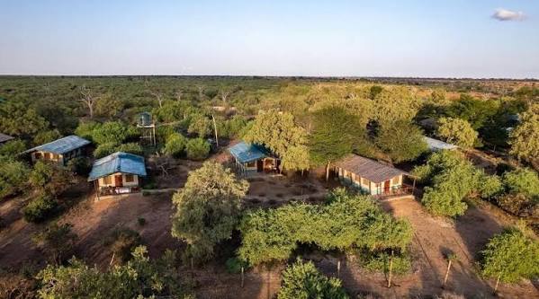Sentrim Tsavo, photo 2