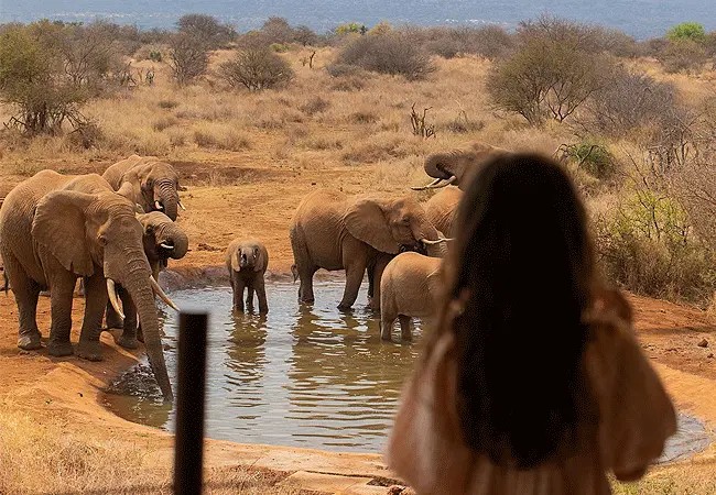 Elephant Gorge Camp Amboseli Safari – 3 Days, 2 Nights – photo 20